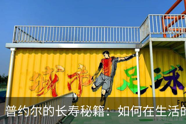 普约尔的长寿秘籍：如何在生活的赛场上稳步前行