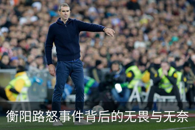 衡阳路怒事件背后的无畏与无奈